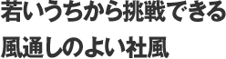 若いうちから挑戦できる風通しのよい社風