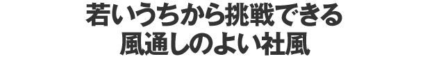 若いうちから挑戦できる風通しのよい社風